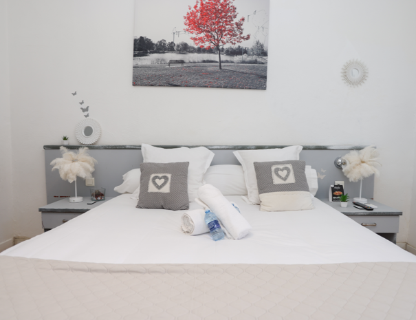 CHAMBRE DOUBLE 7